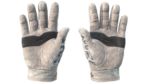 Snow Leopard image