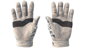 Snow Leopard image