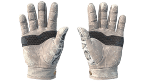 Snow Leopard image
