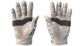 Snow Leopard image