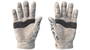 Snow Leopard image