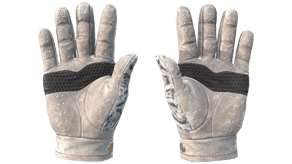 Snow Leopard image