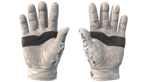 Snow Leopard image