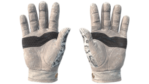 Snow Leopard image