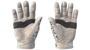 Snow Leopard image
