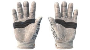 Snow Leopard image