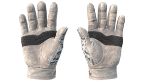 Snow Leopard image
