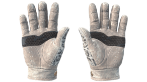 Snow Leopard image