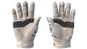 Snow Leopard image