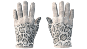 Snow Leopard image