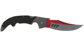 Autotronic image