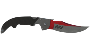 Autotronic image