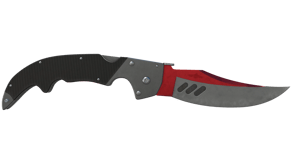 Autotronic image