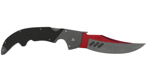 Autotronic image