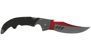 Autotronic image