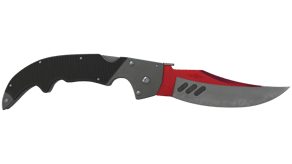 Autotronic image