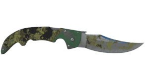 Boreal Forest image