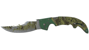 Boreal Forest image