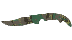 Boreal Forest image