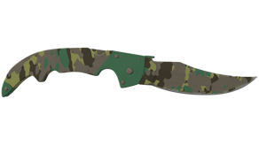 Boreal Forest image