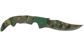 Boreal Forest image