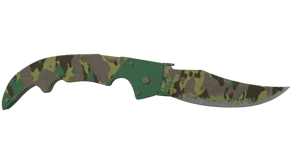 Boreal Forest image