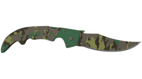 Boreal Forest image