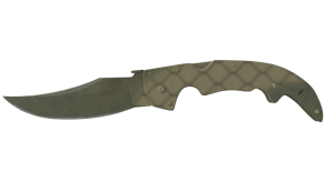 Safari Mesh image