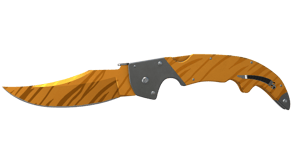 Tiger Tooth image