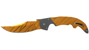 Tiger Tooth image