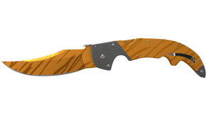 Tiger Tooth image