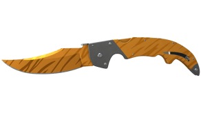 Tiger Tooth image