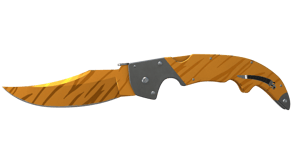 Tiger Tooth image
