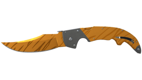 Tiger Tooth image