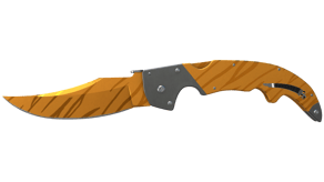 Tiger Tooth image