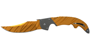 Tiger Tooth image