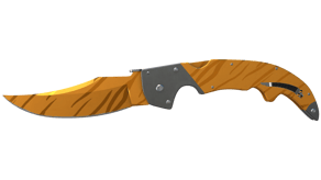Tiger Tooth image