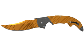 Tiger Tooth image