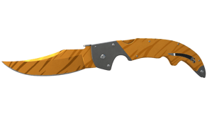 Tiger Tooth image