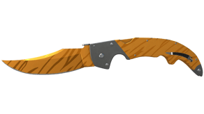 Tiger Tooth image