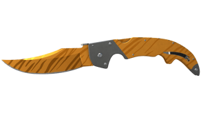 Tiger Tooth image