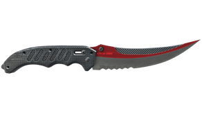 Autotronic image