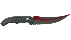 Autotronic image