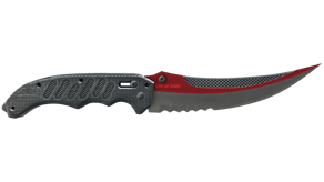 Autotronic image