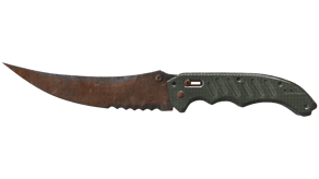 Rust Coat image