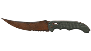 Rust Coat image