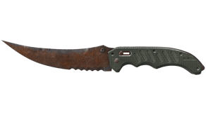Rust Coat image