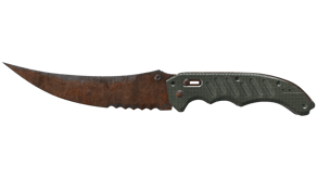 Rust Coat image