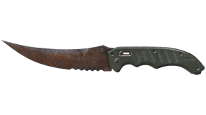 Rust Coat image