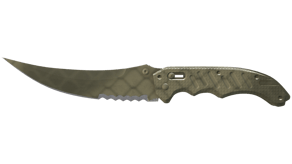 Safari Mesh image